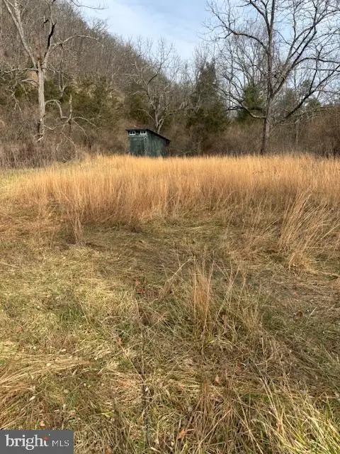 866 Wildlife Dr, Lost City, WV 26810 - Image #3