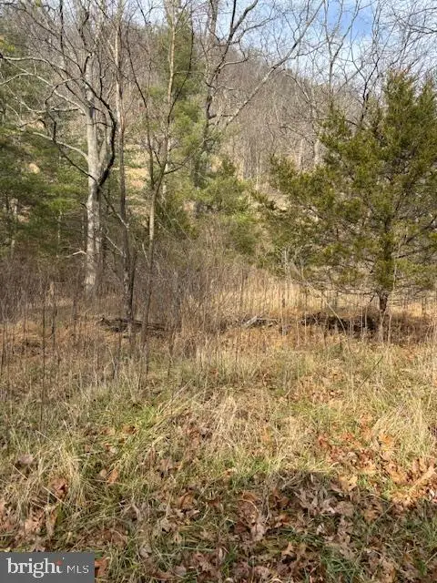 Lot 14 Wildlife Dr, Lost City, WV 26810 - Image #1