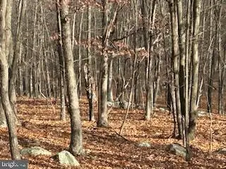 Hutter Road, FISHER, WV 26818