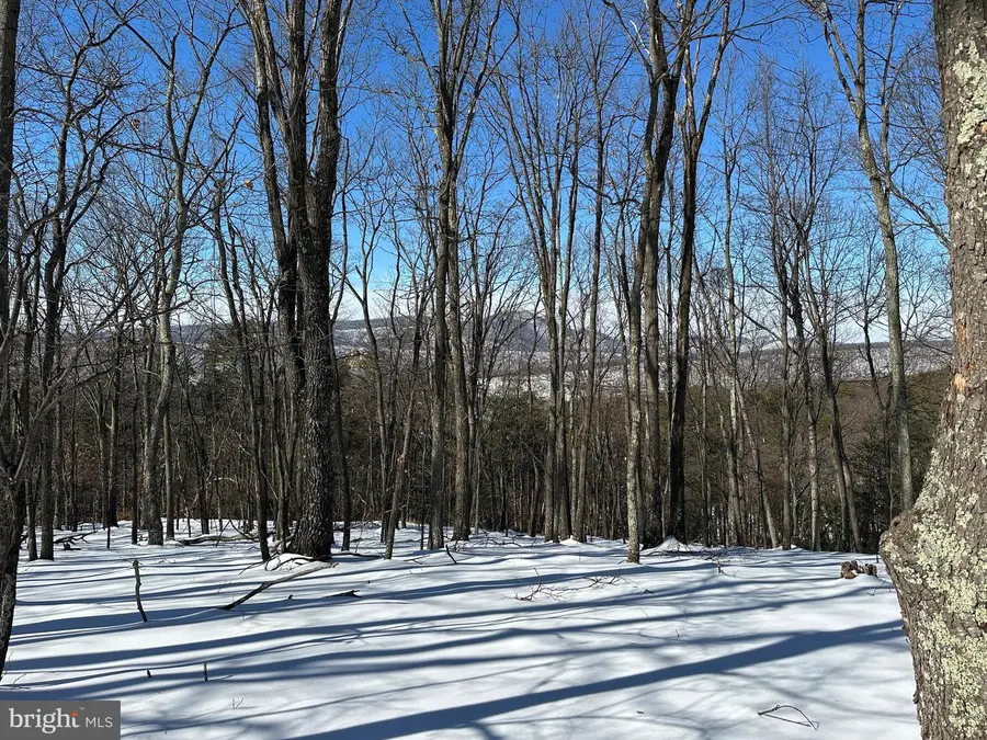 294 Ashton Woods, Moorefield, WV 26836 - #3