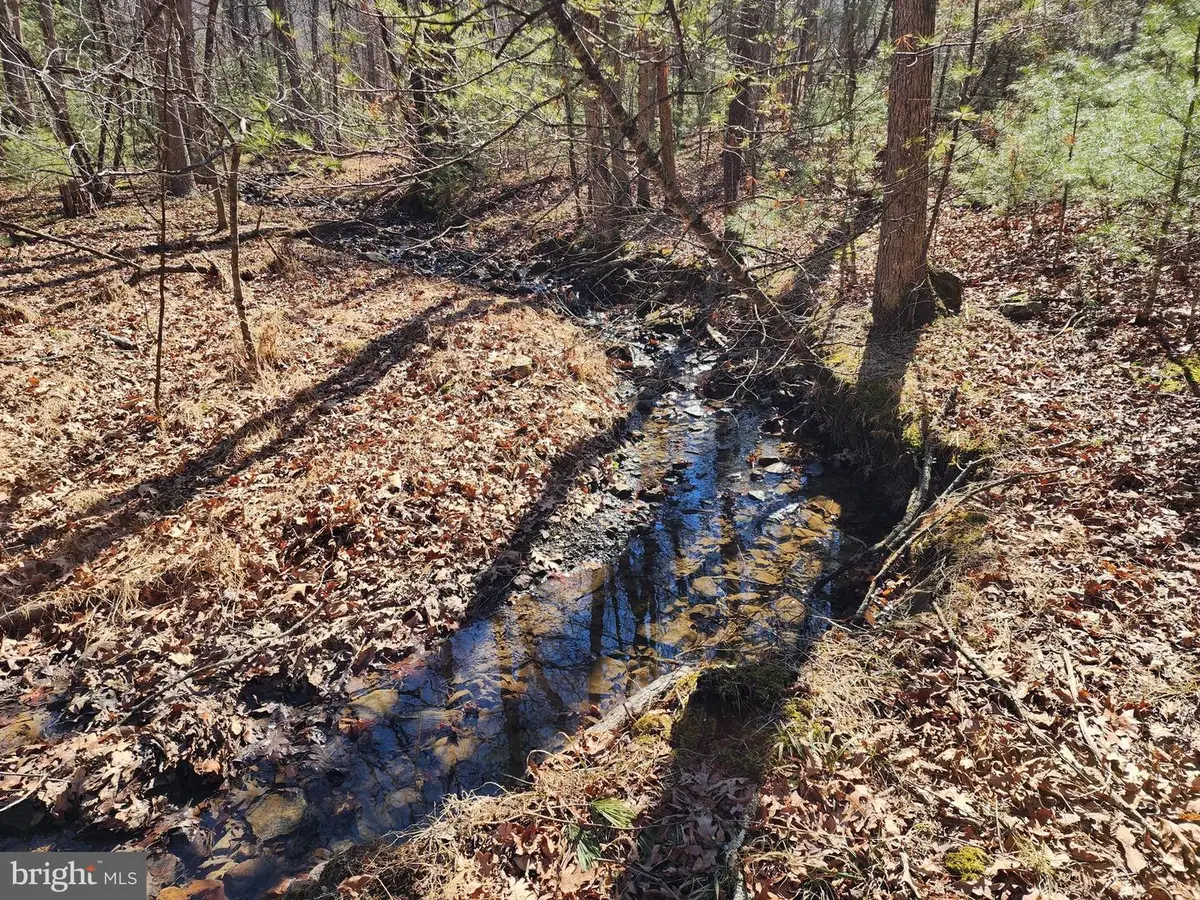 228 Oak Dr, Mathias, WV 26812 - #1