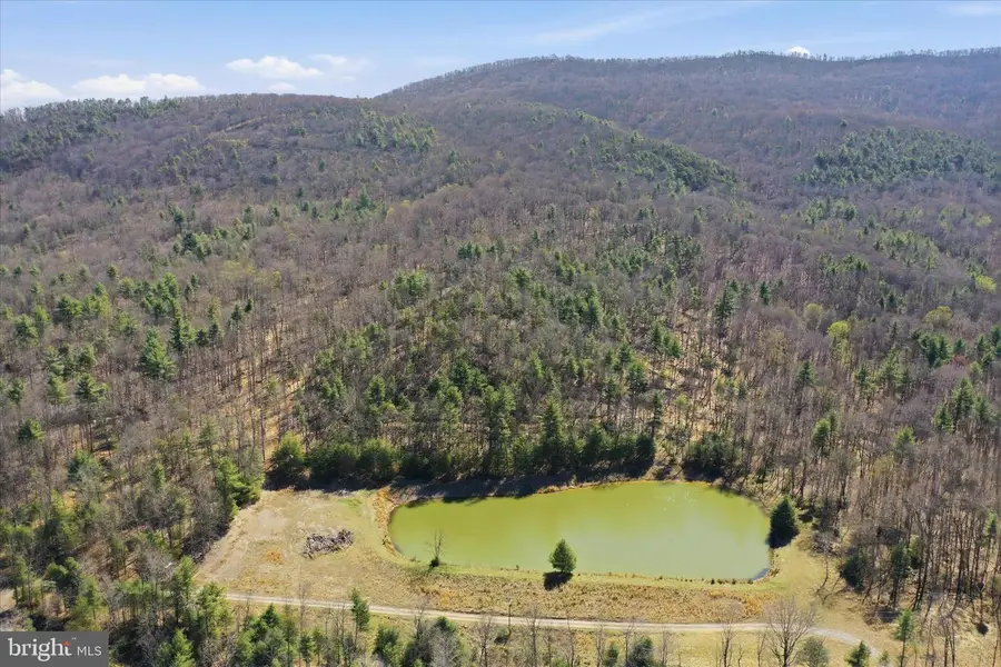 56 Acres Falcon Road, Mathias, WV 26812 - #2