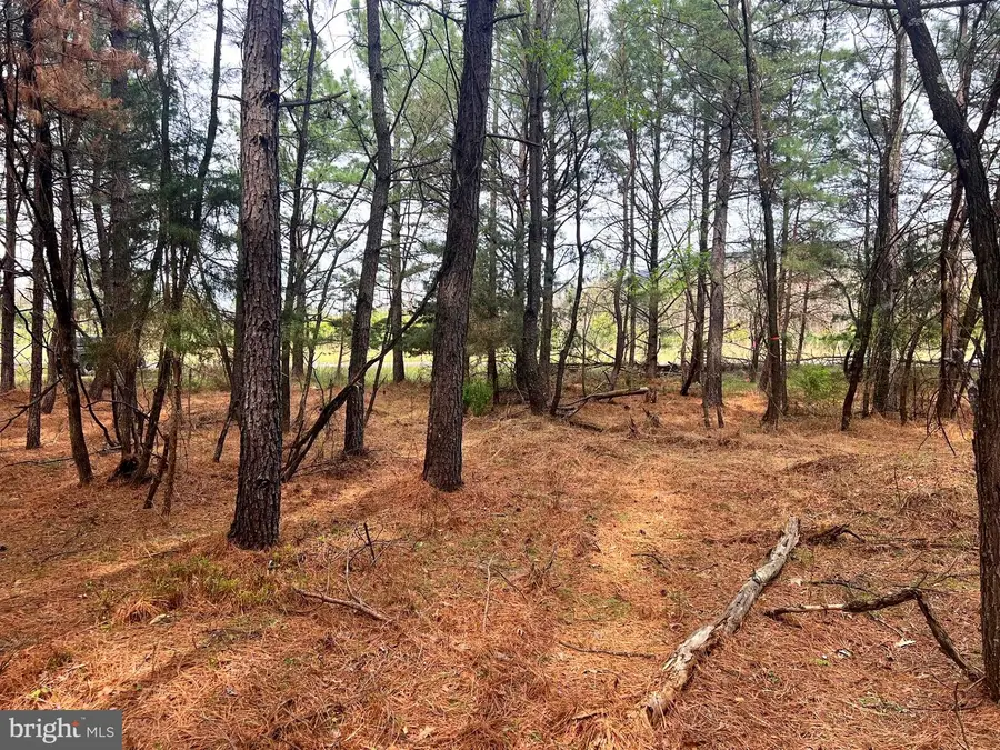 85 Trough View Rd, Moorefield, WV 26836 - #2