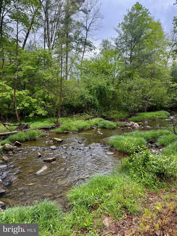 Lots 1 & 2 Trout Run Road, WARDENSVILLE, WV 26851