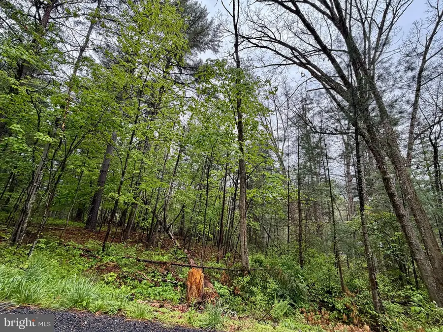 Lots 1 & 2 Trout Run Road, Wardensville, WV 26851 - #2
