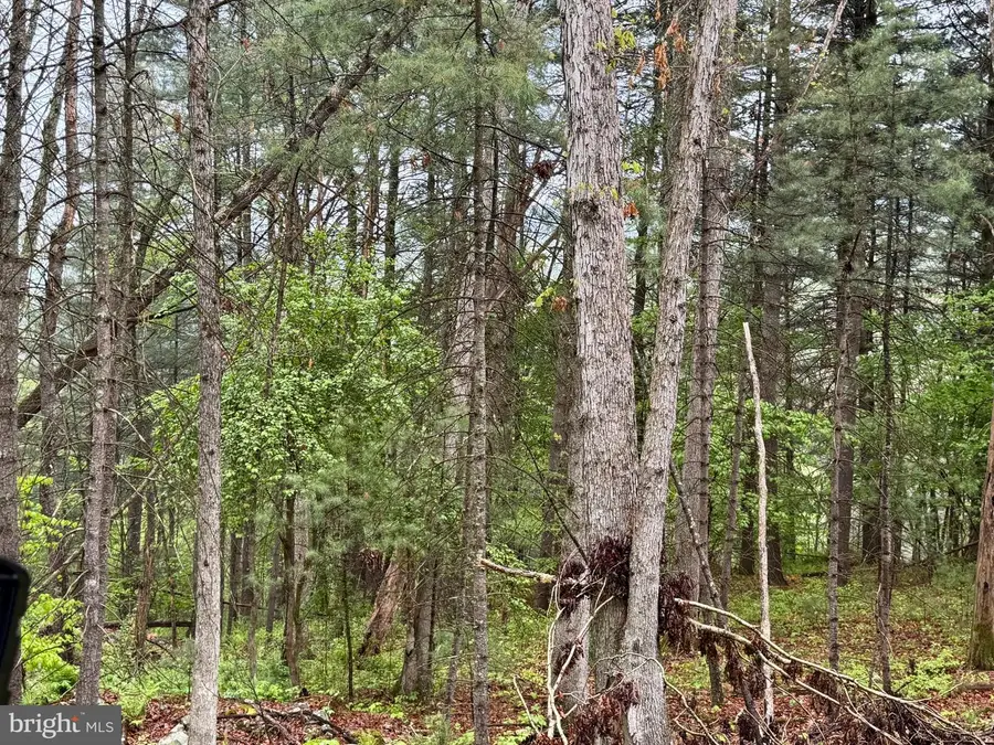 Lots 1 & 2 Trout Run Road, Wardensville, WV 26851 - #3