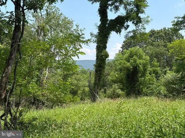 Lot 24a 3.22 Ac Fox Run, BAKER, WV 26801
