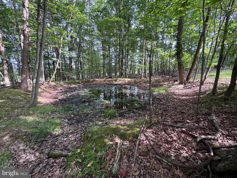 139 Snowy Ln, Fisher, WV 26818 - #3