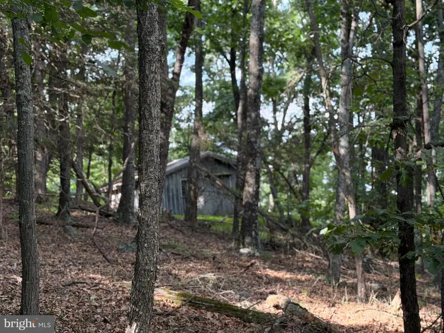 584 Berry Mountain Ln, Mathias, WV 26812 - #3