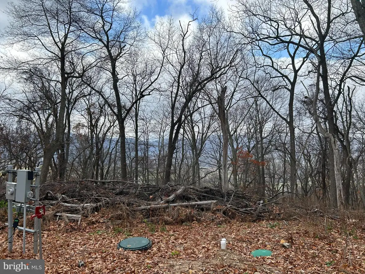 High Knob, Old Fields, WV 26845 - #1