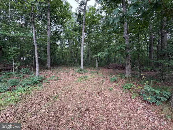 Lot 8 2ac Grizzly Rd, MATHIAS, WV 26812