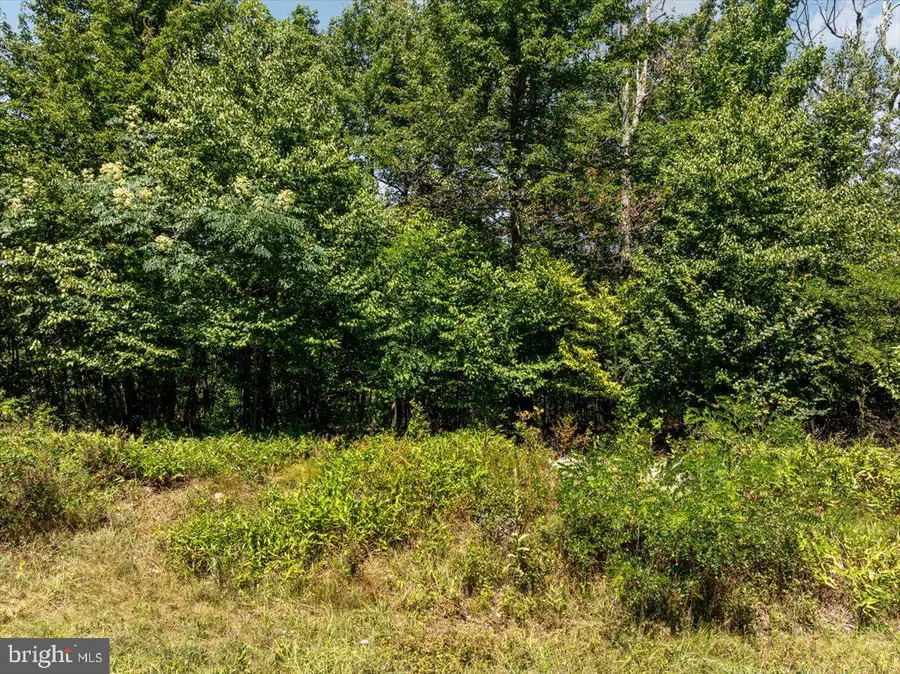 Lot 347 South Branch Mountain, Moorefield, WV 26836 - #3
