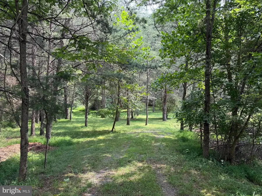 3.12 Ac Lot 2 Upper Skaggs Run Rd, Baker, WV 26801 - #3