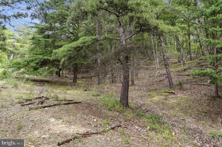 28 Ewing Estates, Baker, WV 26801 - #3