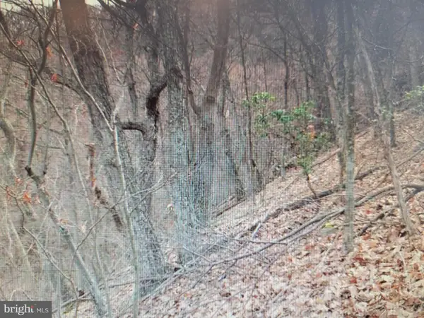 Lot 337 Nathaniel Mt Rd, MOOREFIELD, WV 26836