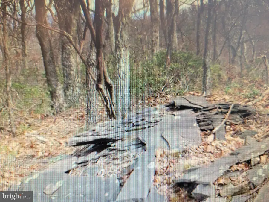 Lot 337 Nathaniel Mt Rd, Moorefield, WV 26836 - #2