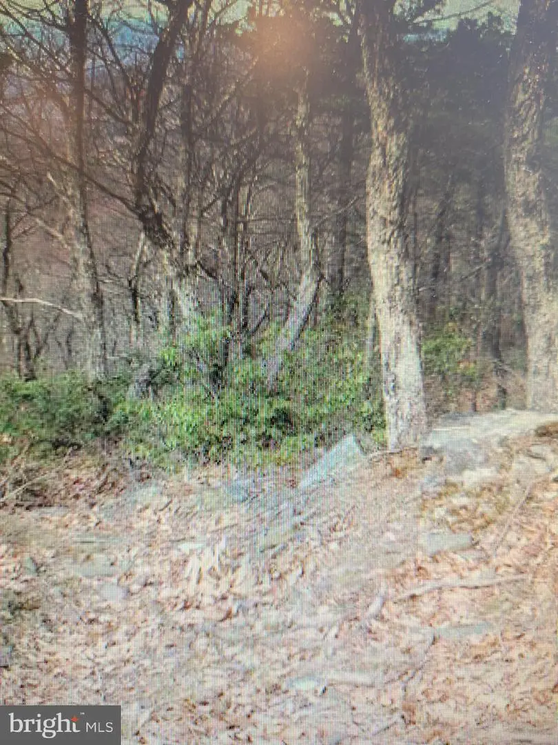 Lot 337 Nathaniel Mt Rd, Moorefield, WV 26836 - #3