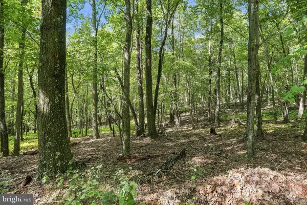 Lot 69 Red Maple Dr, BAKER, WV 26801