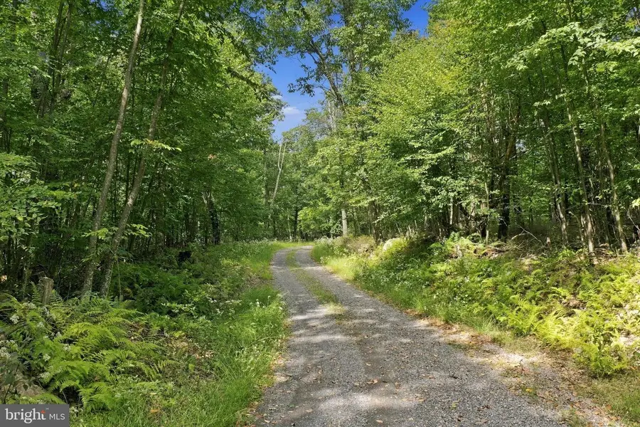 Lot 63 Hemlock Dr, Baker, WV 26801 - #2