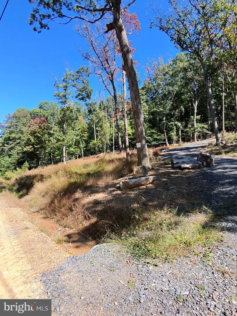 Lot 13 Pine Ridge Ext, Wardensville, WV 26851 - #3
