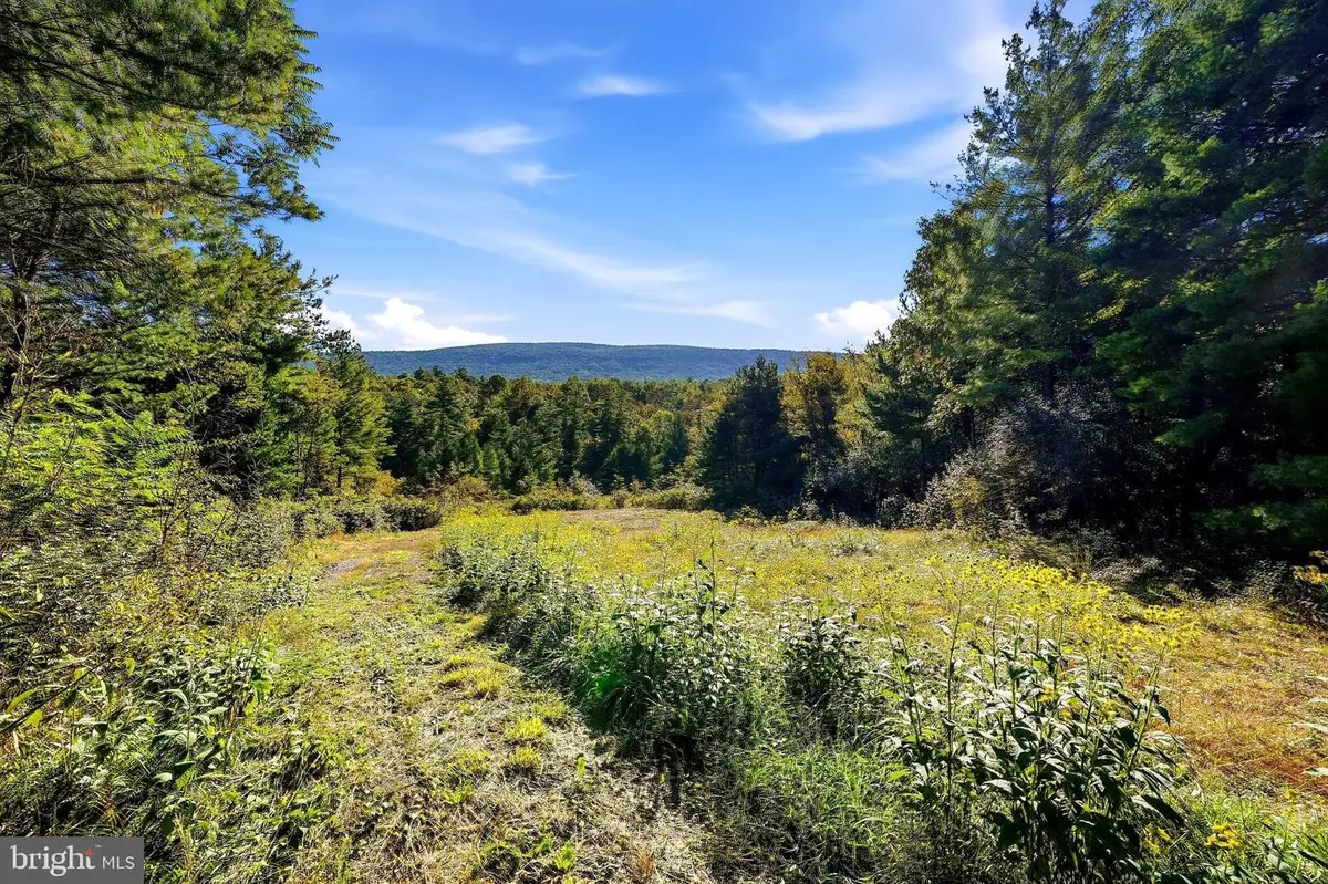 Lot 4 Brooke Trout Dr, Wardensville, WV 26851 - #1