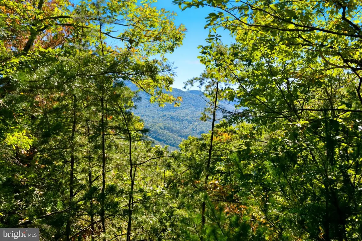 195 Hinkle Mt Rd, Moorefield, WV 26836 - #1