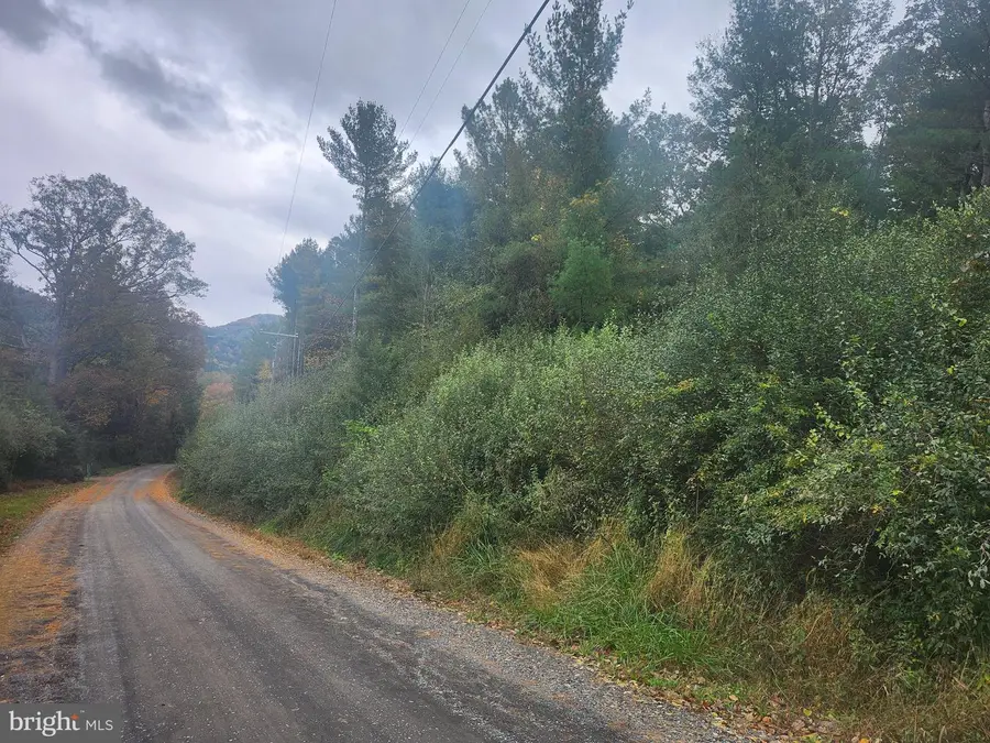 Lot 3 Wildlife Dr, Lost City, WV 26810 - #2