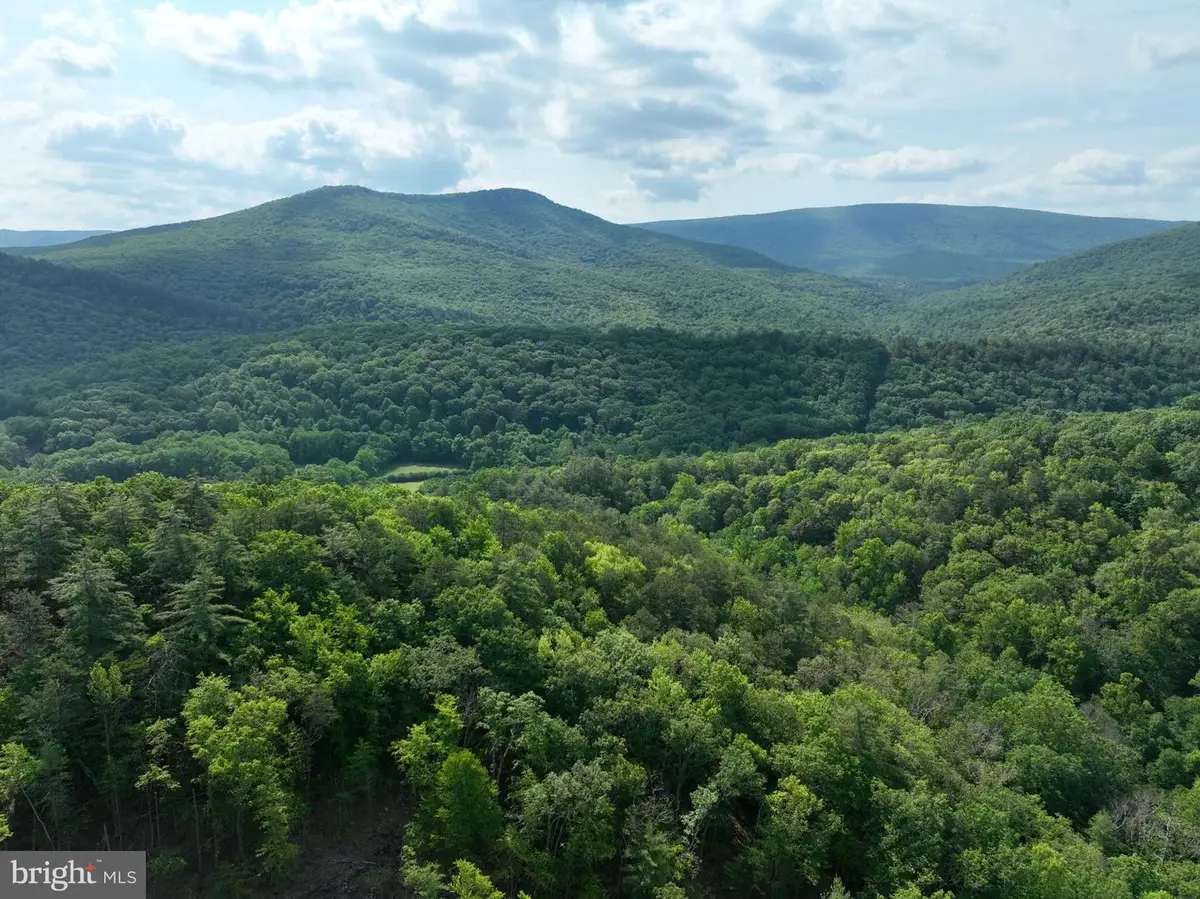 686.10 Acres Thorne Bottom Rd, Wardensville, WV 26851 - #1