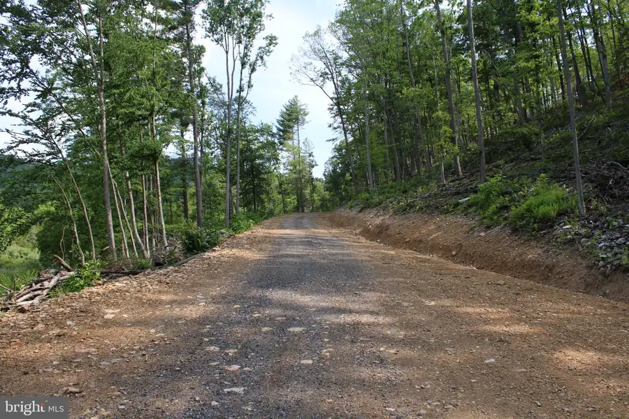 686.10 Acres Thorne Bottom Rd, Wardensville, WV 26851 - #3