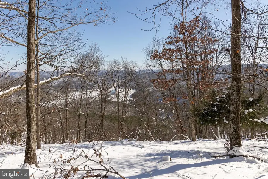 139 Bluffs On The Potomac, Romney, WV 26757 - Image #3