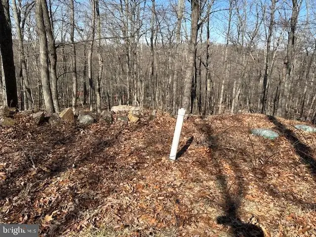 #3