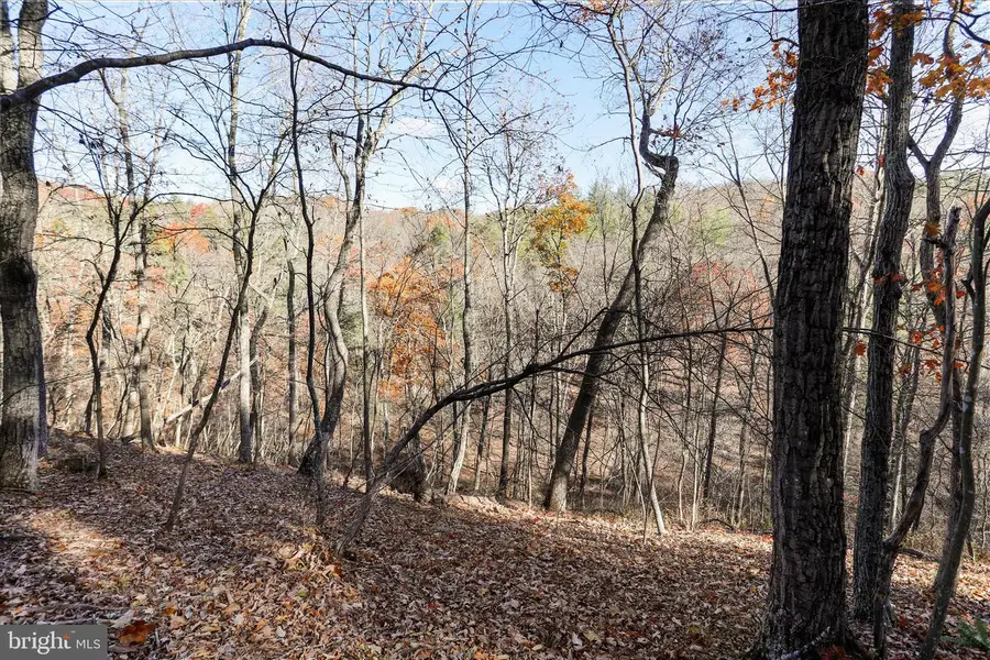 Lot 8 Croston Rd, Bloomery, WV 26817 - Image #2