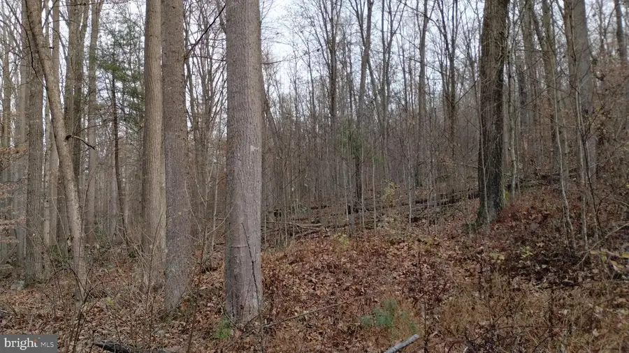 Grape Ridge Tr 9 38.762 Ac, Capon Bridge, WV 26711 - Image #3