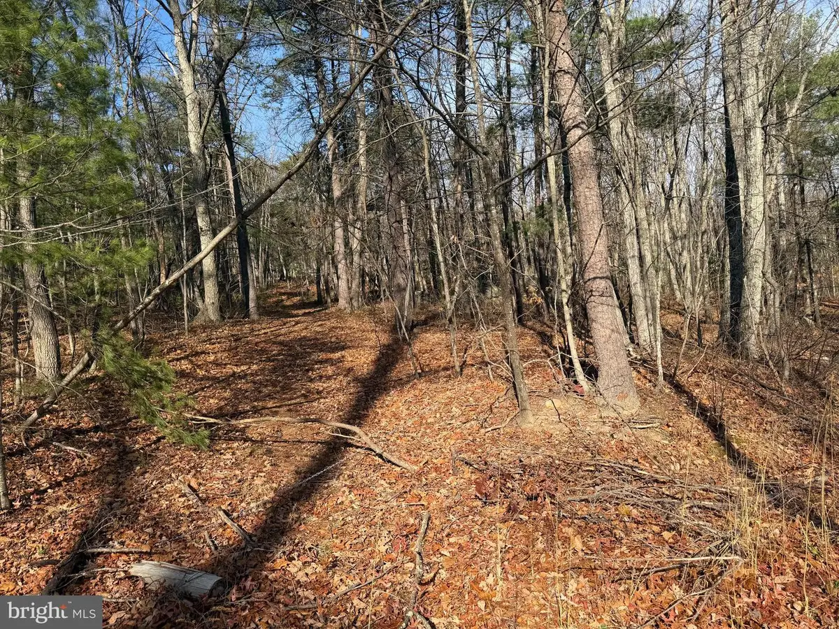 5 Edwards Run Rd, Capon Bridge, WV 26711 - Image #1