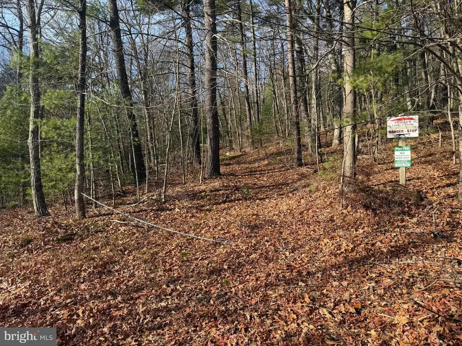 6 Edwards Run Rd, Capon Bridge, WV 26711 - Image #2