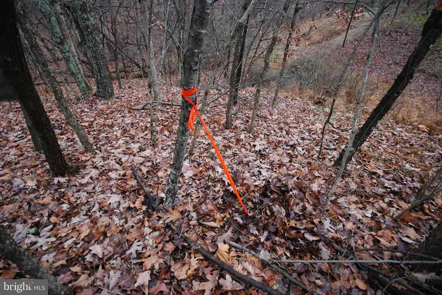 Lot 29 & 30 Staubwoods Dr, Romney, WV 26757 - Image #2