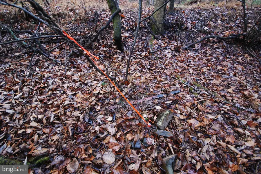 Lot 29 & 30 Staubwoods Dr, Romney, WV 26757 - Image #3