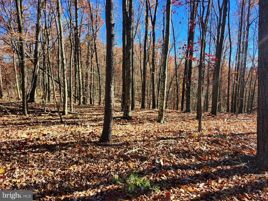 176 Rendezvous Rd, Delray, WV 26714 - Image #3