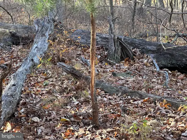 Babbling Brook Lane, ROMNEY, WV 26757