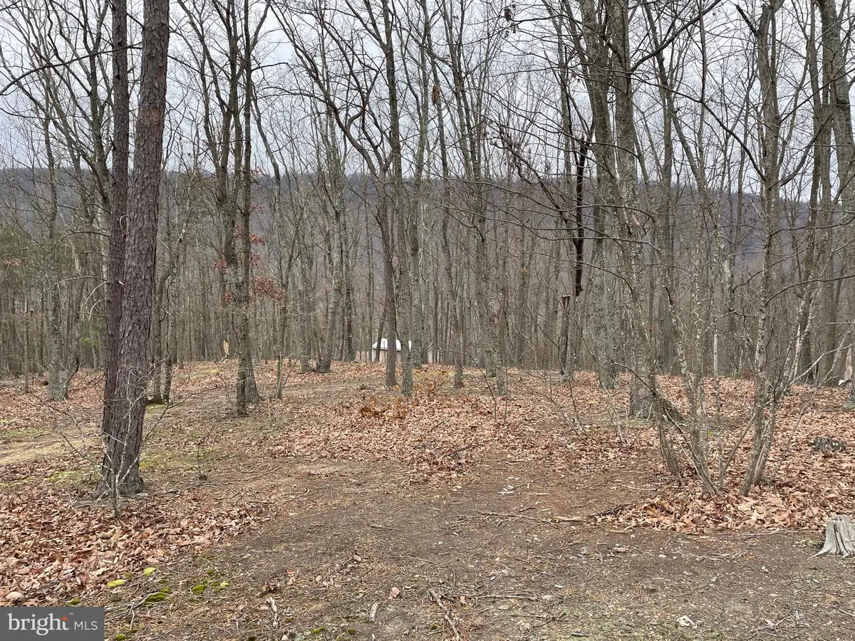 9.50 Ac Bird Ridge Rd, Springfield, WV 26763 - Image #1