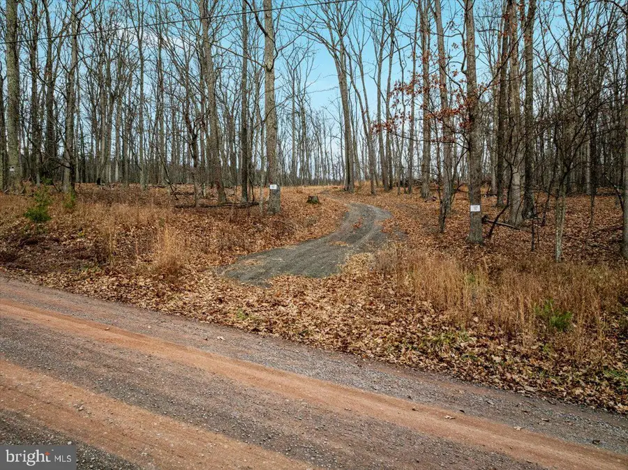 0 Whispering Pines Rd., Slanesville, WV 25444 - Image #2