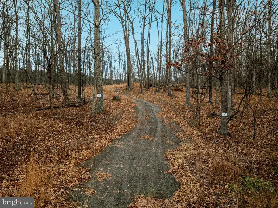 0 Whispering Pines Rd., Slanesville, WV 25444 - Image #3