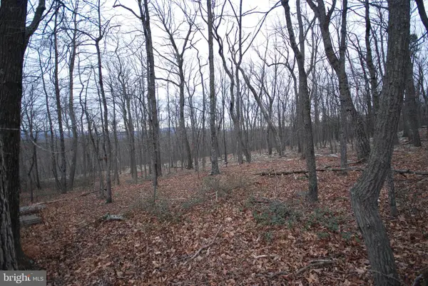Lot 88 Wakeman Dr, AUGUSTA, WV 26704