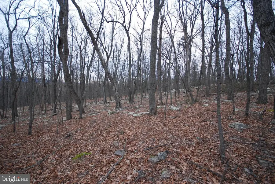 Lot 88 Wakeman Dr, Augusta, WV 26704 - Image #2