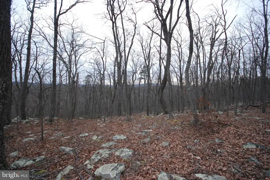 Lot 88 Wakeman Dr, Augusta, WV 26704 - Image #3