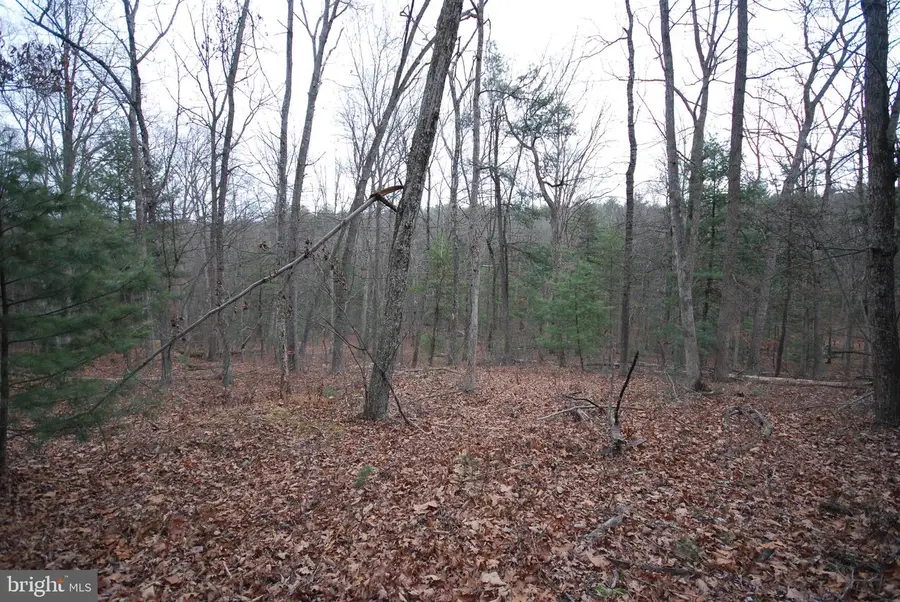 Lot 52 Pony Express Ln, Augusta, WV 26704 - Image #2