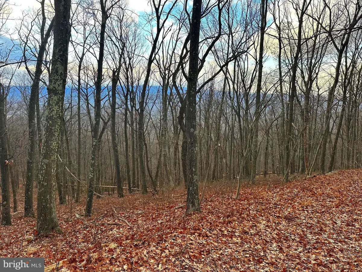 Lot 14 Sec 8 Lawyer Ln, Slanesville, WV 25444 - Image #1