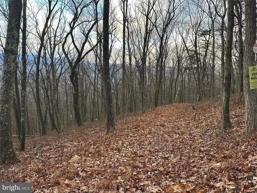 Lot 14 Sec 8 Lawyer Ln, Slanesville, WV 25444 - Image #2