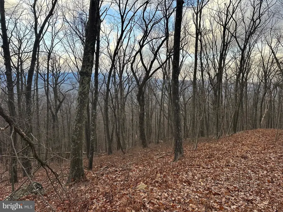 Lot 14 Sec 8 Lawyer Ln, Slanesville, WV 25444 - Image #3