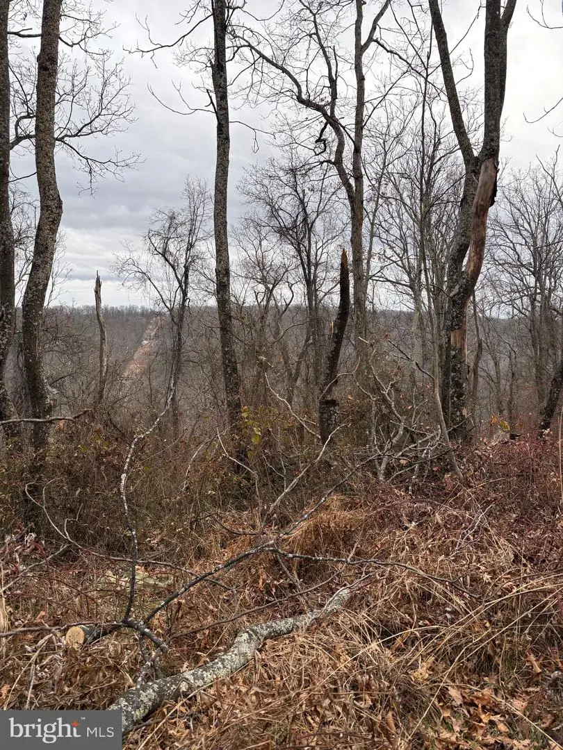 Pcl 19, Section 9 Dehaven Road, Capon Bridge, WV 26711 - Image #1